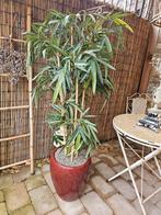 Kunst Bamboeplant met Pot - 160cm, Ophalen