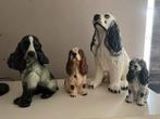 Cocker Spaniel, Ophalen, Zo goed als nieuw, Dier