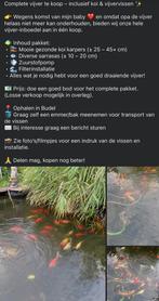 Complete vijver te koop – inclusief koi & vijvervissen, Ophalen of Verzenden, Zo goed als nieuw
