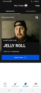 3 kaarten ter overname, Tickets en Kaartjes, Evenementen en Festivals, Twee personen