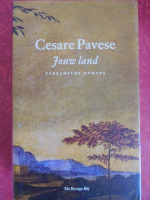Pavese Jouw land Verzamelde Romans, Boeken, Literatuur, Zo goed als nieuw, Nederland, Ophalen of Verzenden