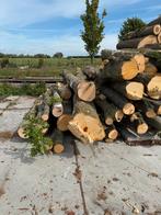 Stamhout linde en plataan, Tuin en Terras, Haardhout, 3 tot 6 m³, Ophalen, Overige houtsoorten, Stammen