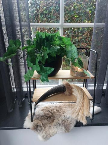 Mooie etagère met decoratie  beschikbaar voor biedingen