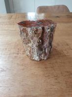Mooi stuk versteend hout fossiel hout, Ophalen of Verzenden, Mineraal
