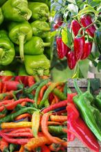 Peper zaden diverse varianten, Verzenden, Zaad