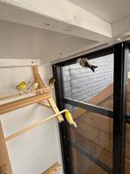Koppel majoor putters, Dieren en Toebehoren, Ophalen of Verzenden, Zo goed als nieuw, Aluminium, Vogelkooi