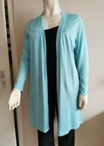 324.. nieuw vest  van Yesta maat 0 is maat 46, Blauw, Trui of Vest, Ophalen of Verzenden, Nieuw
