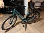 Gazelle Esprit T7 (3 maanden oud), Ophalen, 53 tot 56 cm, Versnellingen, Nieuw