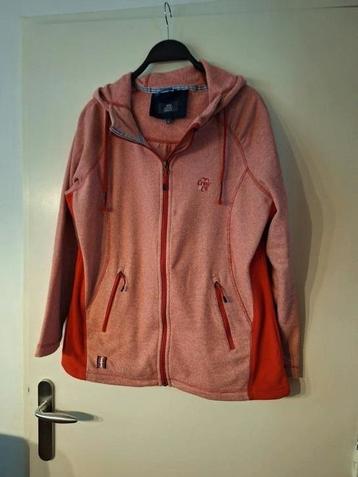 Dames vest Human nature maat XL beschikbaar voor biedingen