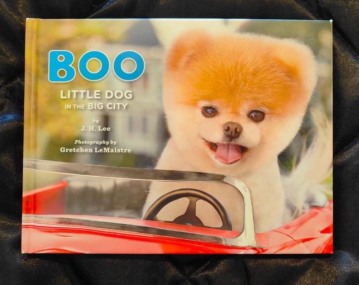 Boo Boekje Little Dog in the Big City, Boeken, Kinderboeken | Jeugd | 13 jaar en ouder, Zo goed als nieuw, Non-fictie, Ophalen of Verzenden