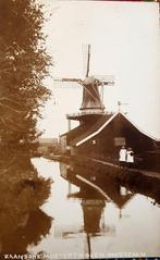 Westzaan Molen de Veldbloem Fotokaart, Ophalen of Verzenden, Voor 1920, Noord-Holland