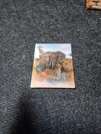 Afrikaanse savanne dieren magneet, Ophalen of Verzenden, Zo goed als nieuw, Hond of Kat, Beeldje of Figuurtje