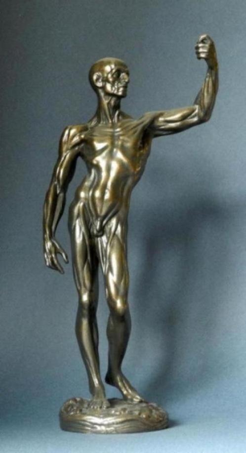 De mooie man, sculptuur van Houdon., Antiek en Kunst, Kunst | Designobjecten, Ophalen of Verzenden