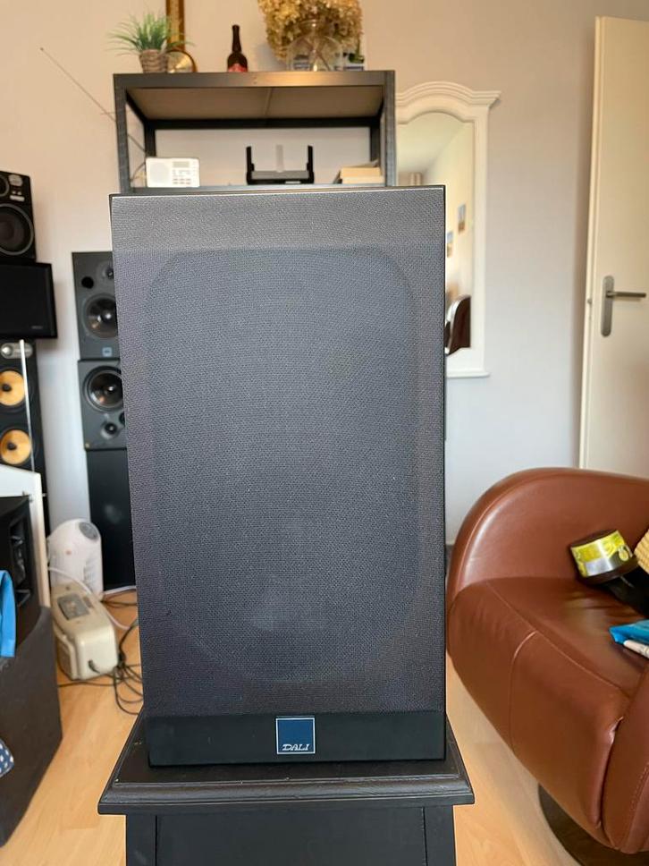 Dali 202 Luidspreker, Audio, Tv en Foto, Luidsprekers, Gebruikt, Front, Rear of Stereo speakers, 60 tot 120 watt, Overige merken