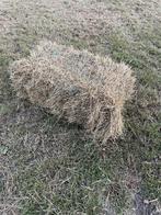 Kleine weidehooi baaltjes, Dieren en Toebehoren, Dierenvoeding, Ophalen of Verzenden, Overige soorten