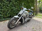 Harley Davidson Chopper V-ROD, De Morgenstond
5473 HE  HEESWIJK-DINTHER, NL, Chopper, Bedrijf, Meer dan 35 kW