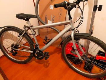 Zilverkleurige mountainbike beschikbaar voor biedingen