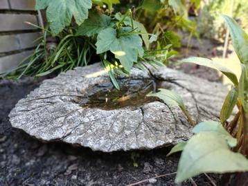 Vogelbad waterbak badderbad cement tuindecoratie tuin vogels beschikbaar voor biedingen