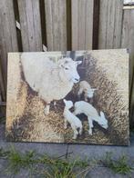 Tuinschilderij, Ophalen of Verzenden, Gebruikt