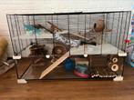 Luxe hamsterkooi met veel extra’s, Dieren en Toebehoren, Knaagdieren en Konijnen | Hokken en Kooien, Ophalen, Kooi, Hamster, 60 tot 90 cm