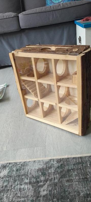 Hamster speelplaats beschikbaar voor biedingen