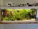 Juwel 400 aquarium, Dieren en Toebehoren, Vissen | Aquaria en Toebehoren, Ophalen, Gebruikt, Leeg aquarium