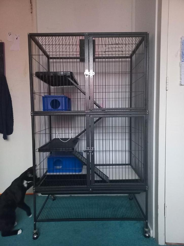 Keddoc ratten of chinchilla verblijf met accessoires., Dieren en Toebehoren, Vogels | Hokken en Kooien, Zo goed als nieuw, Overige typen