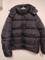 Nieuwe Polo jas - Maat L, Kleding | Heren, Jassen | Zomer, Maat 52/54 (L), Nieuw, Ophalen of Verzenden, Polo