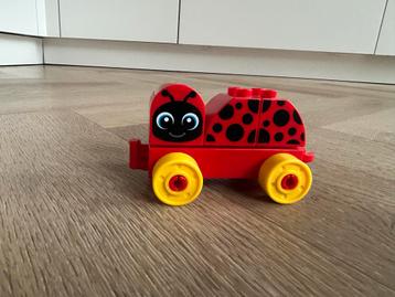 Grote Bak Duplo beschikbaar voor biedingen