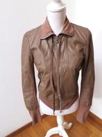 Z28 PATRICIA PEPE kort jasje echt leer bruin 44 = 36 Ned, Kleding | Dames, Jasjes, Kostuums en Pakken, Bruin, Ophalen of Verzenden