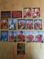 PANINI - VOETBAL KAARTJES, Ophalen of Verzenden, Zo goed als nieuw, Overige binnenlandse clubs, Poster, Plaatje of Sticker