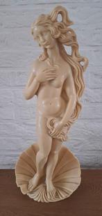 Godin Venus, Ophalen, Zo goed als nieuw
