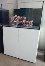 Aquarent/ zeeaquarium/ Armatus 375 XD white
/ aqua medic, Dieren en Toebehoren, Vissen | Aquaria en Toebehoren, Ophalen of Verzenden