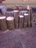 Partij haardhout kachelhout dikke zware stammen !!!!!, Tuin en Terras, Haardhout, Ophalen, Overige houtsoorten