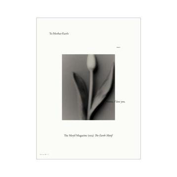 The Motif Magazine, Issue 3 – The Earth Motif beschikbaar voor biedingen