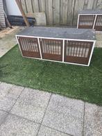 Duiven kooi er zijn er twee van, Meerdere dieren, Tuimelaar of Roller