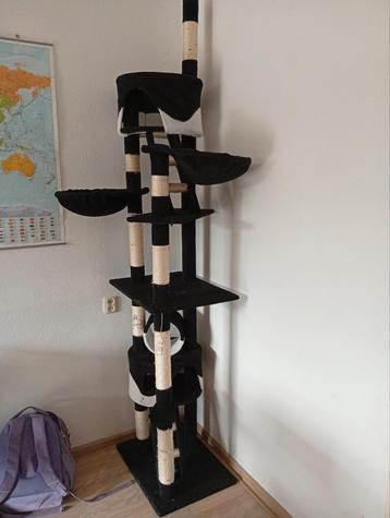 Krabpaal +/- 2 meter hoog. beschikbaar voor biedingen