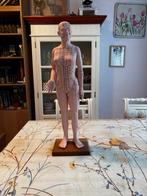 Acupunctuur Model Vrouw - Karl Blum GmbH, Antiek en Kunst, Ophalen