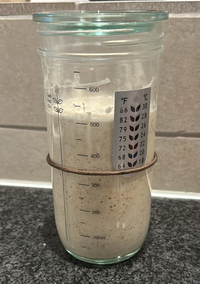 Zuurdesem starter (€5 per 50 gram), Diversen, Levensmiddelen, Ophalen