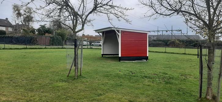 Weidegang met inloop en schuilstal aangeboden Geleen/Sittard, Dieren en Toebehoren, Stalling en Weidegang, Weidegang