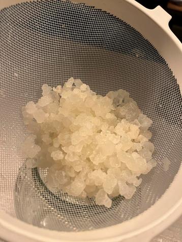 Waterkefir korrels beschikbaar voor biedingen