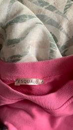 Sweater Esqualo pink maat l, Kleding | Dames, Overige Dameskleding, Ophalen of Verzenden