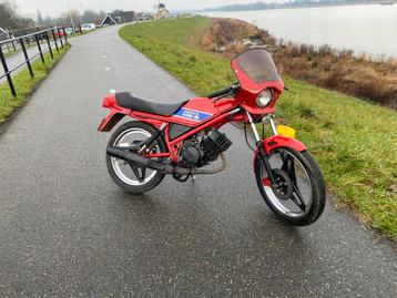 Honda mb mt mtx gezocht beschikbaar voor biedingen