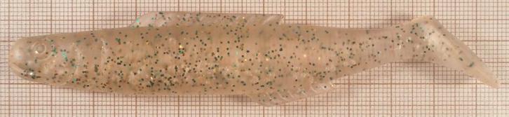 Zeebaars (3) - Slanke shads voor zeebaars of snoekbaars, Watersport en Boten, Hengelsport | Zeevissen, Nieuw, Overige typen, Verzenden