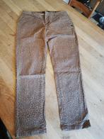 Chino scotch&soda, Ophalen of Verzenden, Zo goed als nieuw