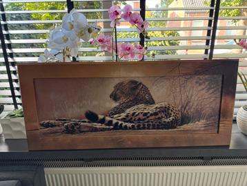 Kunstprint Cheetah - Art print beschikbaar voor biedingen