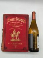 1e Druk(1890)Napoleon Bonaparte, De veroveraar der 19e Eeuw, Antiek en Kunst, Ophalen of Verzenden, P. Vergers