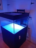 Aquarium te koop kubus vorm 80 x 80 x 50 cm, Prijs 250 euro, Dieren en Toebehoren, Vissen | Aquaria en Toebehoren, Ophalen, Gebruikt