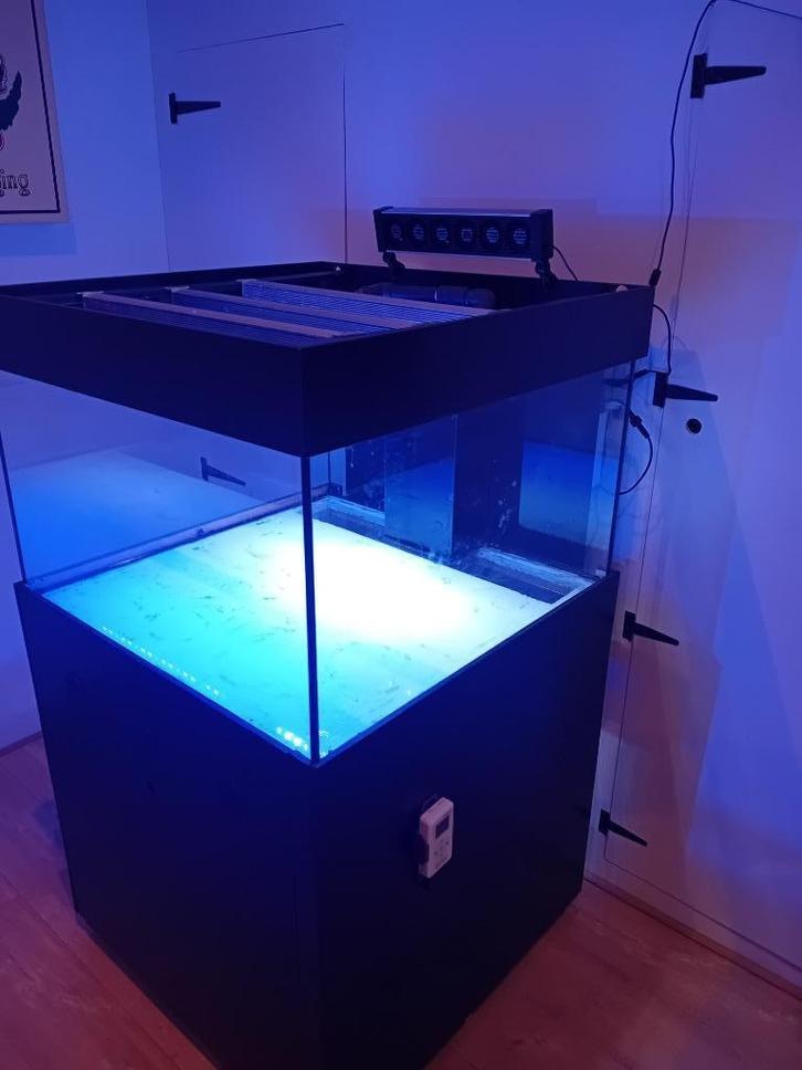Aquarium te koop kubus vorm 80 x 80 x 50 cm, Prijs 250 euro, Dieren en Toebehoren, Vissen | Aquaria en Toebehoren, Gebruikt, Leeg aquarium