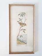 ingekleurde drukprent gesigneerd schilderij vogel lijst, Ophalen of Verzenden